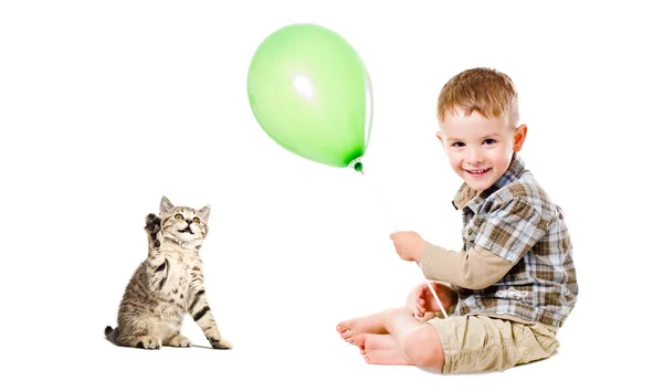 Alegre menino e gatinho escocês em linha reta — Fotografia de Stock