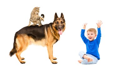 Köpek ve kedi ile oynarken mutlu çocuk