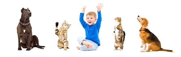 Group of a cheerful kid and pets — Stock Photo, Image