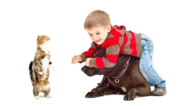 Niño, perro y gato jugando juntos —  Fotos de Stock