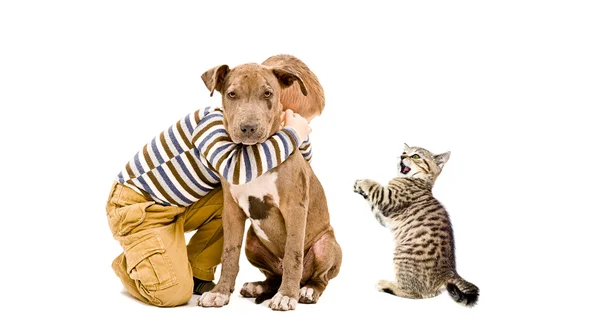 Tillgiven boy, pitbull valp och en kattunge — Stockfoto