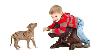 Köpek ve köpek yavrusu ile oynayan çocuk