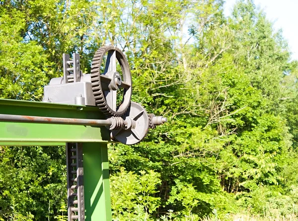 Rueda dentada en la naturaleza —  Fotos de Stock