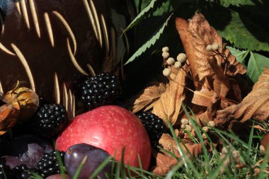 Sonbahar sakin bir hayat.