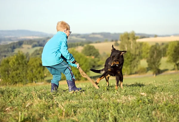 little boy play with dog