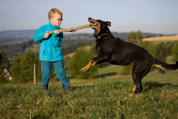 Маленький мальчик играет с собакой — стоковое фото