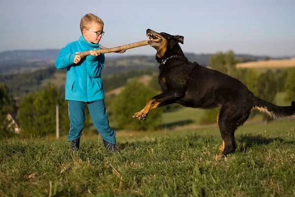 köpek ile küçük çocuk oyun 