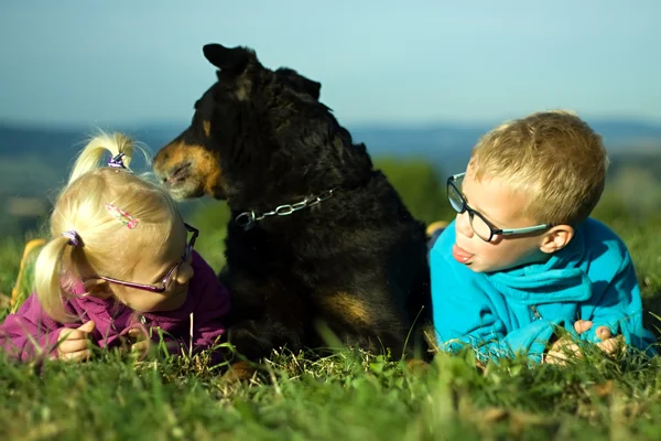 Portrait of little girl and boy with dog outdoor — Stock Photo, Image