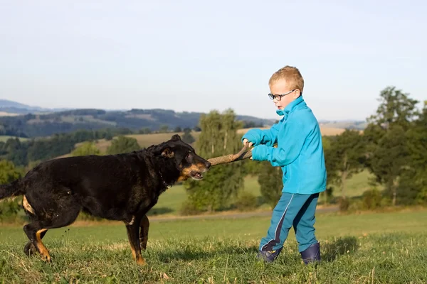 köpek ile küçük çocuk oyun 