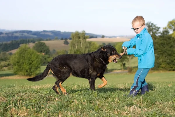 Pequeno menino jogar com cão — Fotografia de Stock