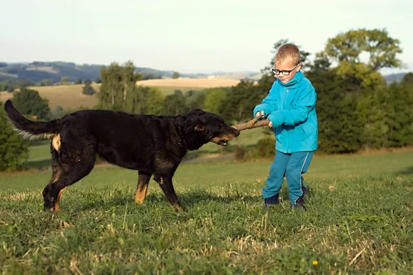 köpek ile küçük çocuk oyun 