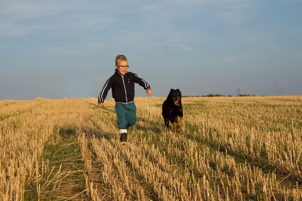 stock image boy is runing with dog