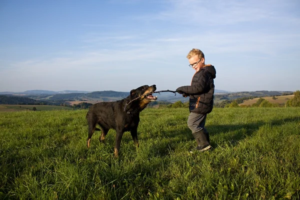 köpek ile çocuk oyun