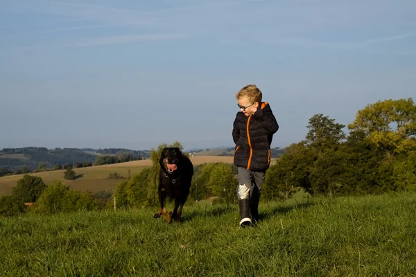 Хлопчик грає з собакою — стокове фото