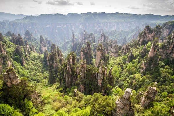 China, Parque Nacional Zhangjiajie —  Fotos de Stock