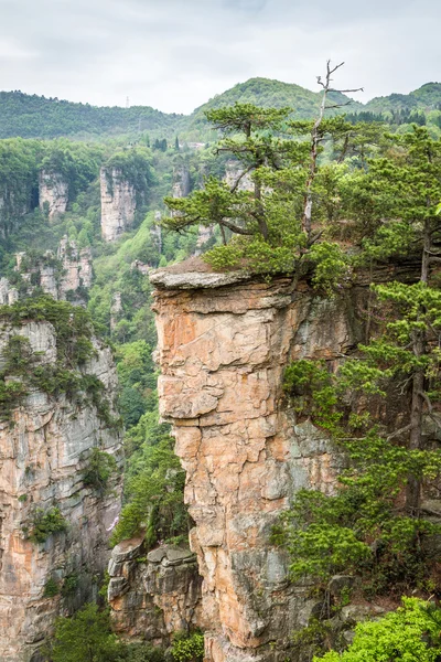 中国の張り家界国立公園 — ストック写真