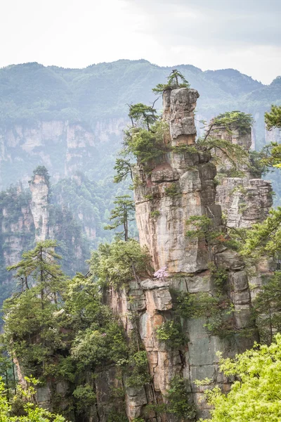 China, Parque Nacional Zhangjiajie — Foto de Stock