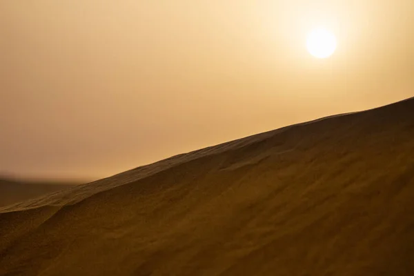 Zandduin Wilde Woestijn Bij Zonsondergang — Stockfoto