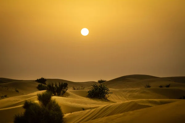 Dunas Areia Deserto Fotos De Bancos De Imagens