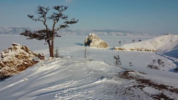 バイカル凍結湖 オルホン島 シャーマン岩 ブルクハン岬の空中 澄んだ氷と雪 冬にロシアのシベリアを旅行します 孤独な木から神聖な岩への空中飛行 — ストック動画