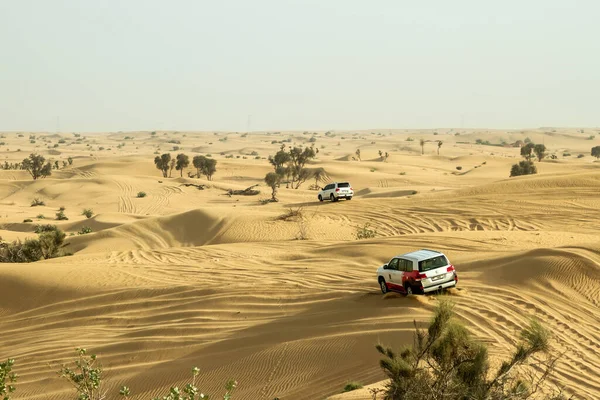 2020 Dubai Emirati Arabi Uniti Safari Nel Deserto Attacchi Alle — Foto Stock