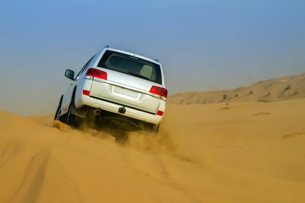 Dune Equitação Deserto Árabe — Fotografia de Stock