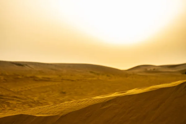 Dune Sabbia Nel Deserto — Foto Stock