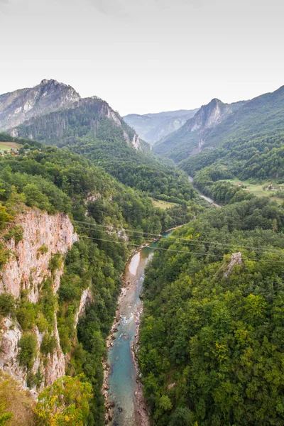 黑山，塔拉河峡谷 — 图库照片