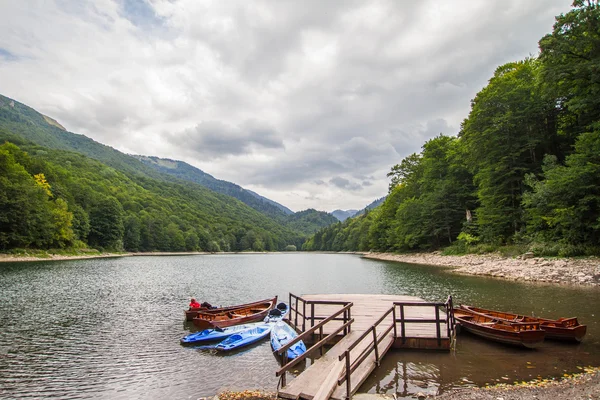 Черногория, Biogradsko Lake — стоковое фото