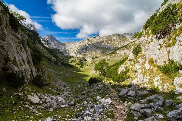 Montenegro, Durmitor Nationaal Park — Stockfoto