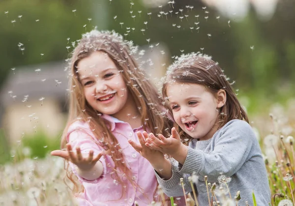 Zwei Süße Kinder Pusten Löwenzahn Zwischen Löwenzahn — Stockfoto