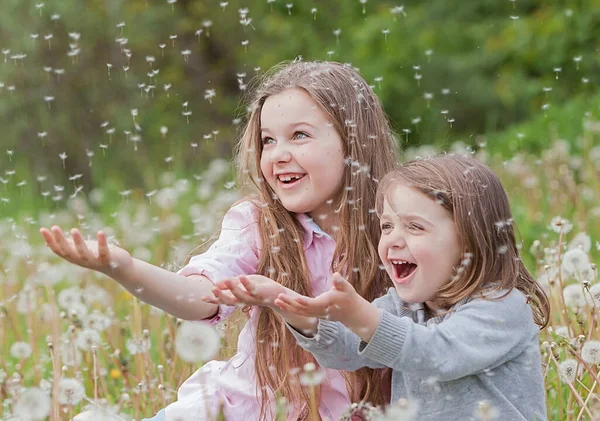 Zwei Süße Kinder Pusten Löwenzahn Zwischen Löwenzahn Löwenzahnsporen Wehen Weg — Stockfoto