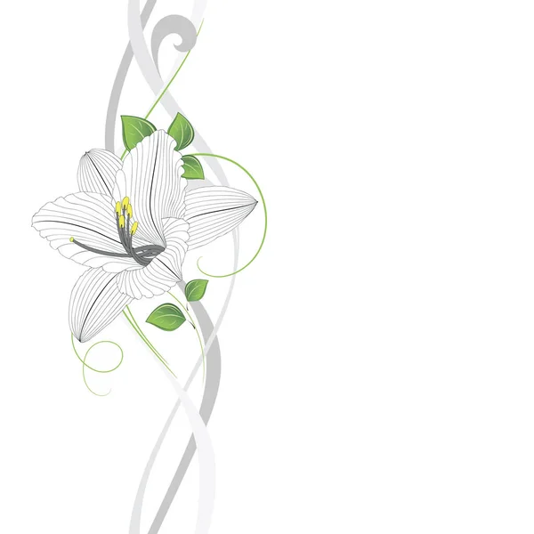 Sömlös Handritning Blommig Bakgrund Med Blomma Lilja Vektorillustration — Stock vektor