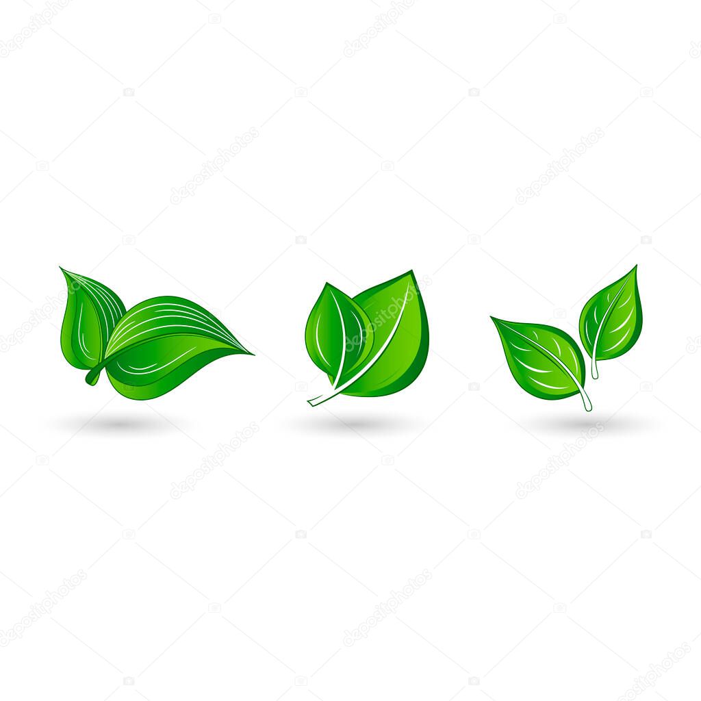 Set of abstract isolated green leaves. Element for design.