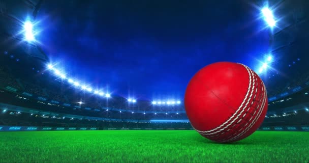 Modern Cricket Stadion Met Schijnende Lichten Bal Beweging Het Grasveld — Stockvideo
