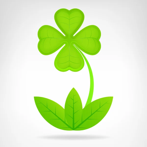 Green cloverleaf plant isolated on white — Stock Vector