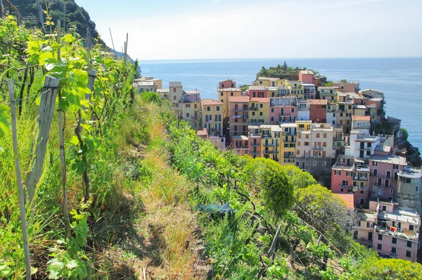 Vista de Chinque Terre, Italia — Foto de Stock