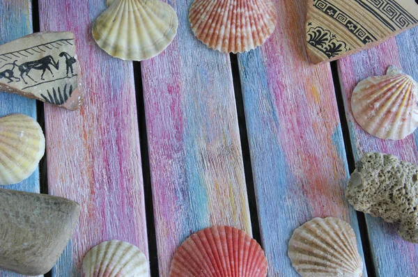 Primeros planos de conchas marinas sobre tabla de madera vieja —  Fotos de Stock