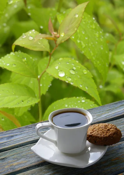 Cup of coffee with eco background — Stock Photo, Image