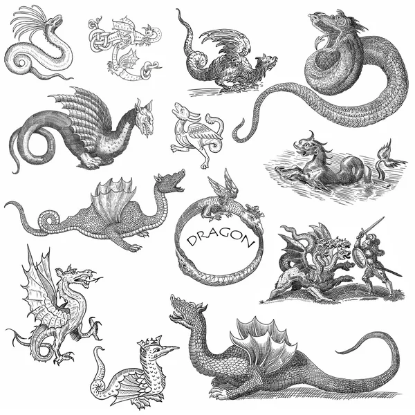 Dragon set illustrazione — Foto Stock