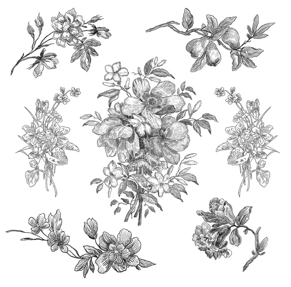 Floral illustration — Stock Photo, Image