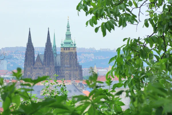 Uitzicht op Praag daken en torens met dominerend bestanddeel van de Praagse burcht en de kathedraal — Stockfoto