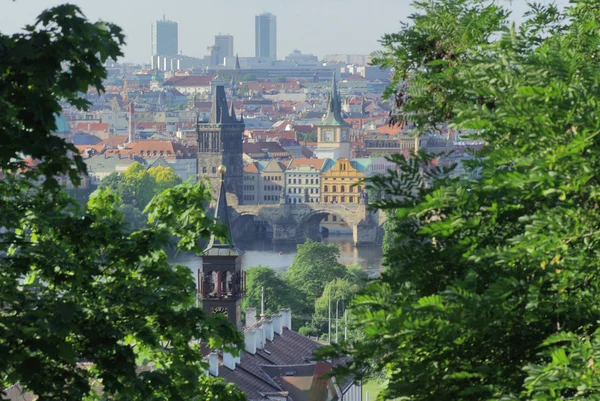 Vue de Prague depuis la colline — Photo