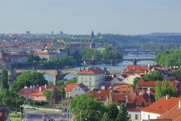 View of old town Prague from hill — Stock Photo, Image