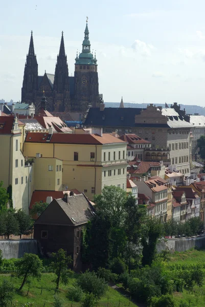 View of the Cathedral of St. Vitus, the Vltava River, Prague, Czech Republic. — Stock Photo, Image