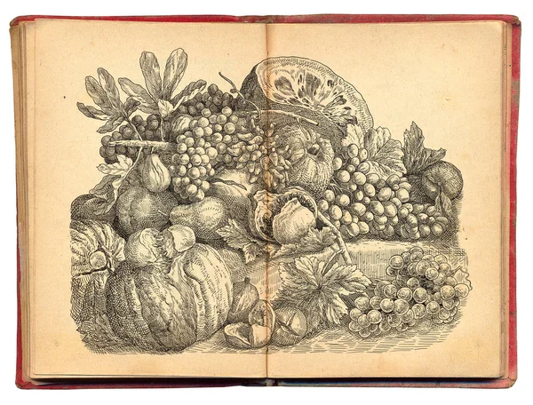 Illustrazione set di frutta — Foto Stock
