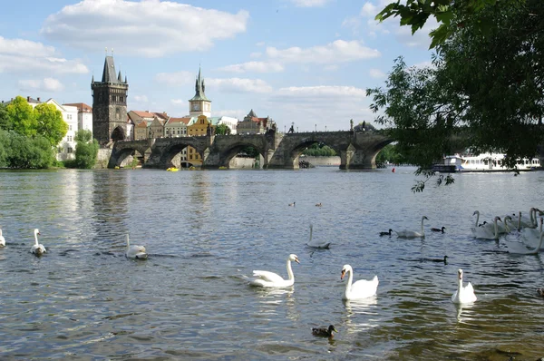 Výhledem na starou prahu město — Stock fotografie