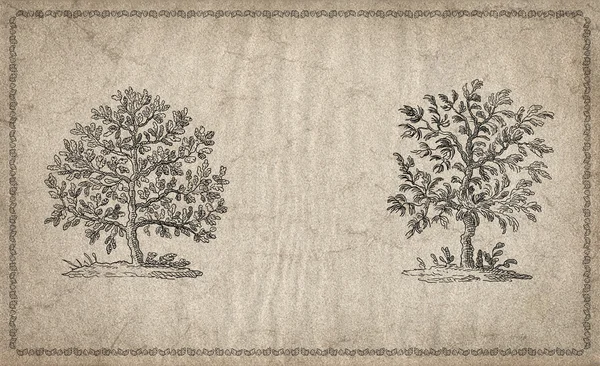 Иллюстрация деревьев — стоковое фото