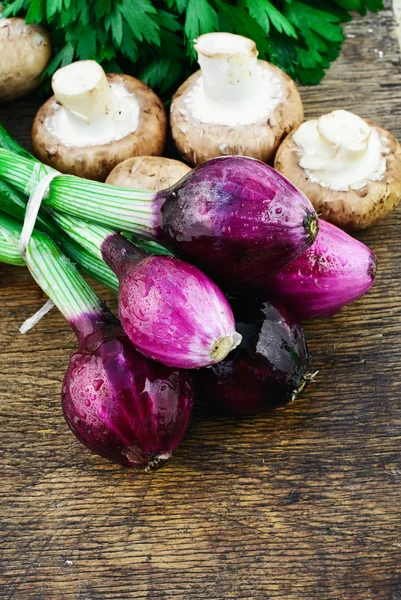 Zwiebeln und Pilze — Stockfoto