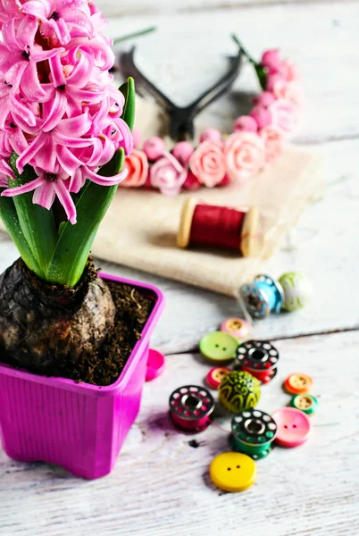 Hyacinth thread decoration — Zdjęcie stockowe